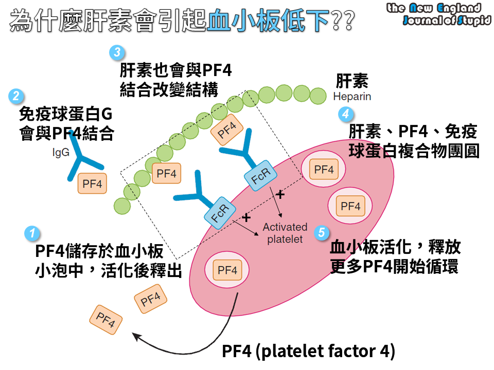 11063793_836143123122286_7380935629856615855_n.png#s-960,720