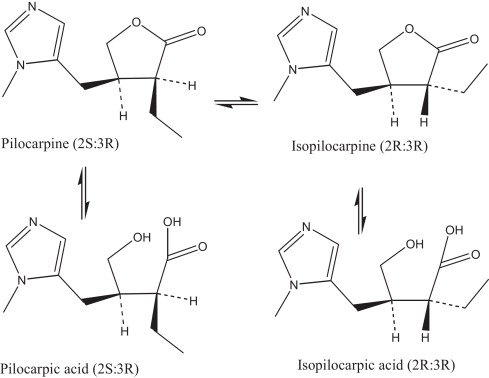 1-s2.0-S0378517313009885-sc1.jpg#s-489,378