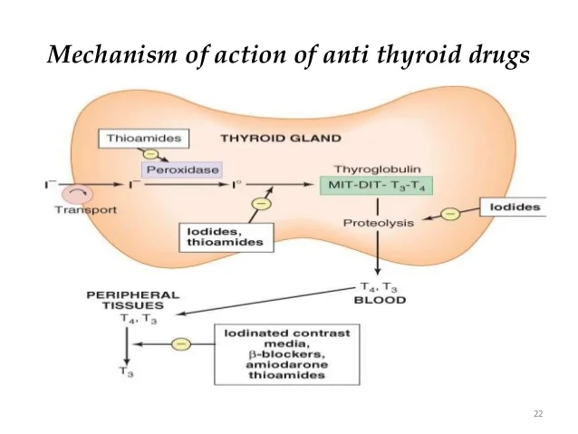 thyroid-anti-thyroid-by-sanaveed-22-638.