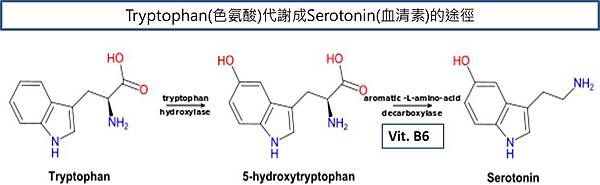 1415596317-1276329721_n.jpg#s-600,185