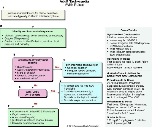 acls-tach.jpg?w=584&h=485#s-584,485