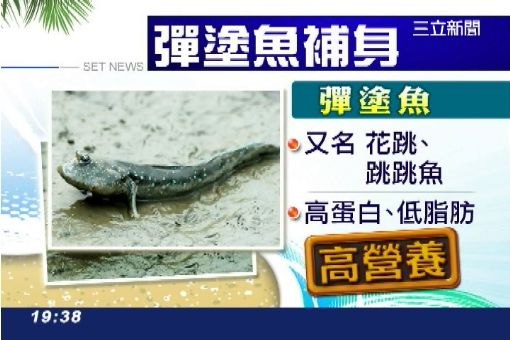 87601-XXL.jpg#s-510,340