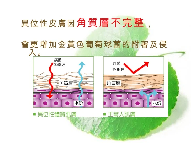 -9-728.jpg?cb=1247710564#s-728,546