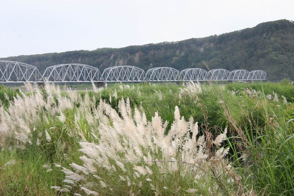 %E7%94%9C%E6%A0%B9%E5%AD%90%E8%8D%8916.jpg#s-950,633