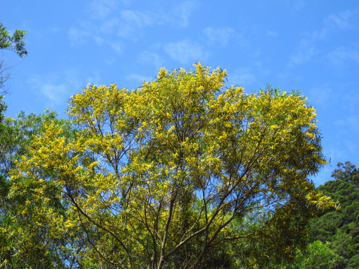 f_21944576_1.JPG#s-728,546