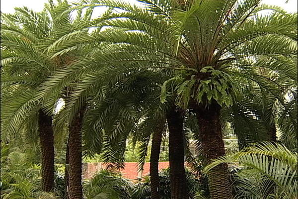 84918df14669ad15df46573776d6ac42.png#s-600,400