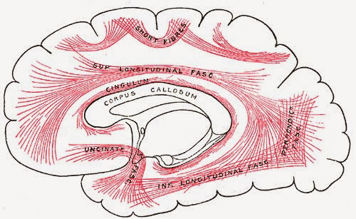 figure1.jpg#s-500,307