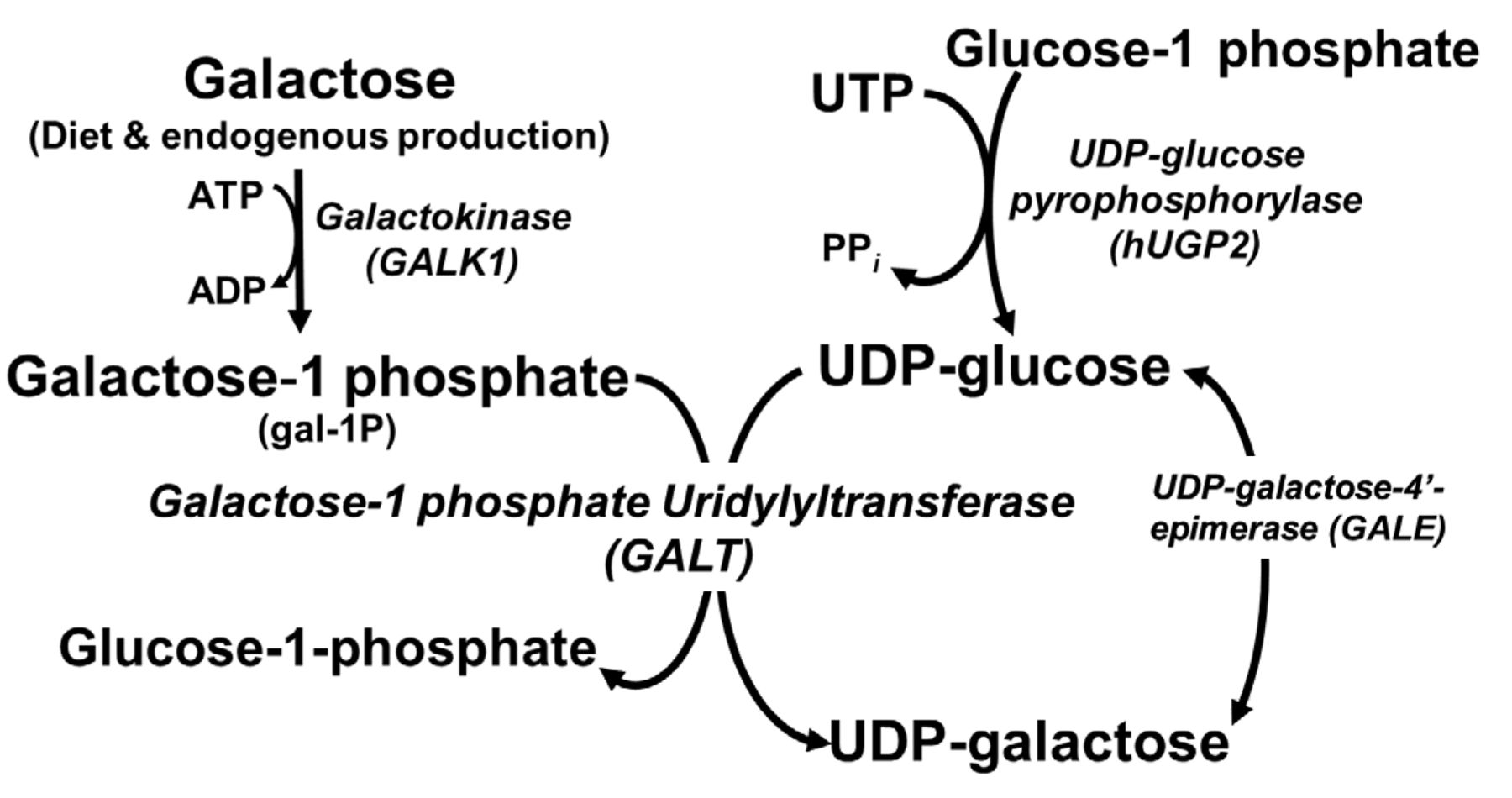 F1.large.jpg#s-1800,950