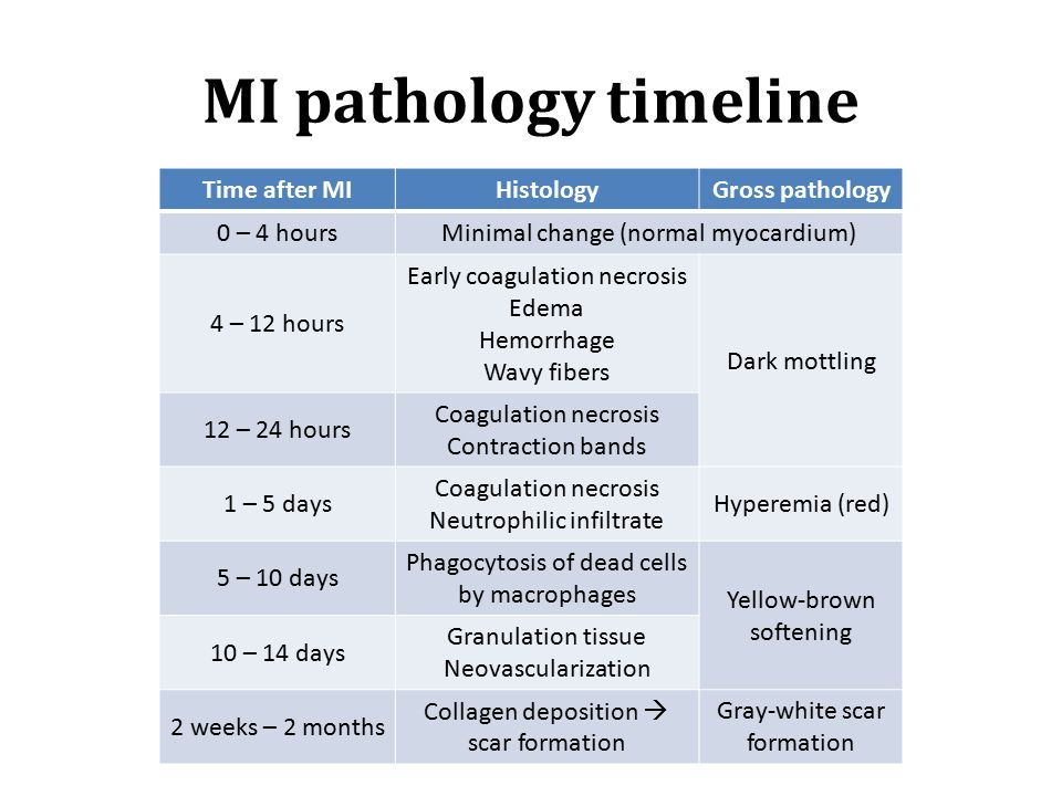 MI+pathology+timeline+Time+after+MI+Histology+Gross+pathology.jpg