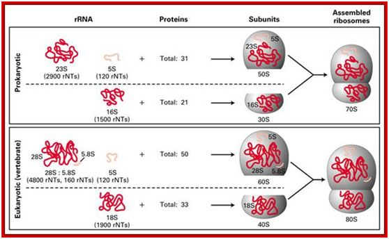 38b1-fxpwyhw9760404.jpg#s-558,344