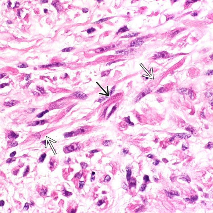 image02840.jpeg#s-750,750