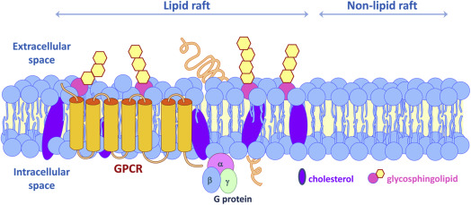 1-s2.0-S0091679X15002095-gr1.jpg#s-524,229