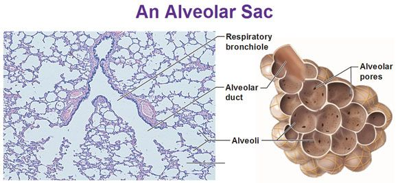 89bb378f399b464599c4e53854184b22.jpg#s-580,267