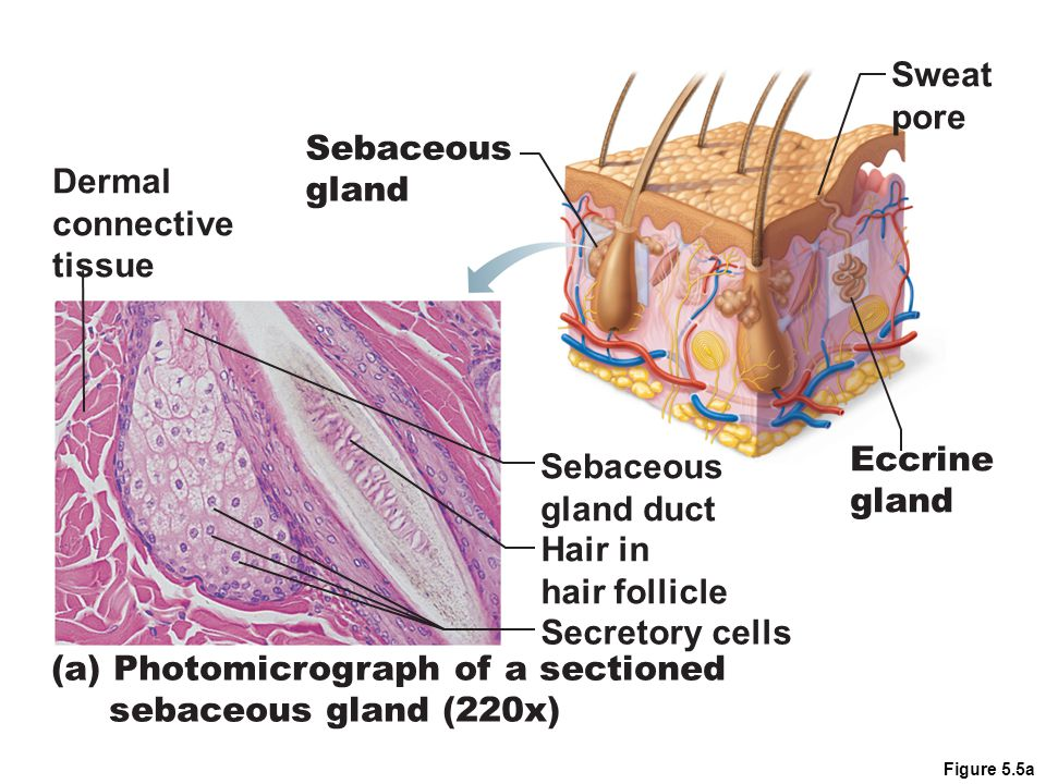 a5d2fb138ab12b158617b3c17c4323d4.jpg#s-960,720