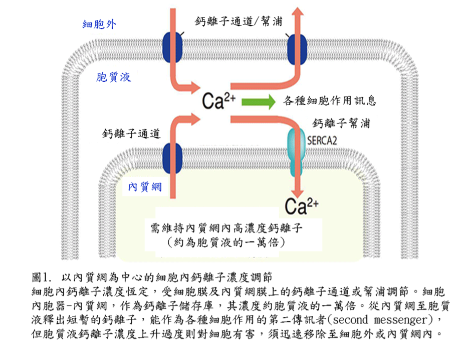 74680_p1.png#s-946,710