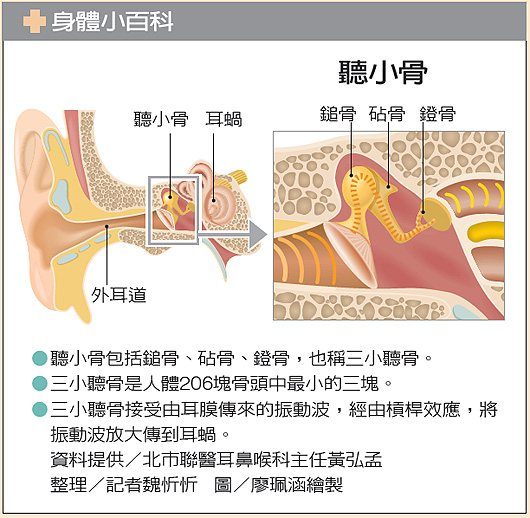 223616.jpg&x=0&y=0&sw=0&sh=0&sl=W&fw=800#s-530,518