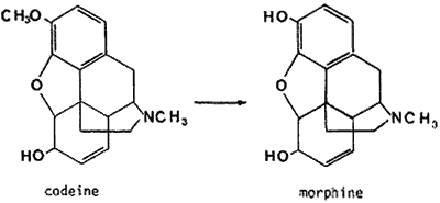 homebake.fig2.gif#s-400,185