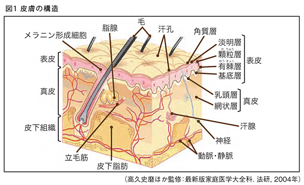 downloadphoto?id=348242094