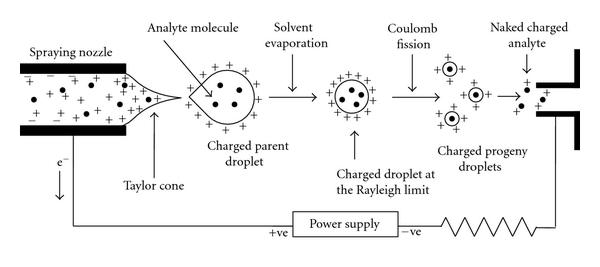 Schematic-representation-of-the-electrospray-ionization-process.png