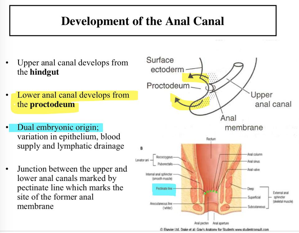 54072d18249cb284422e1a2131abf606af6f3f02#s-962,752