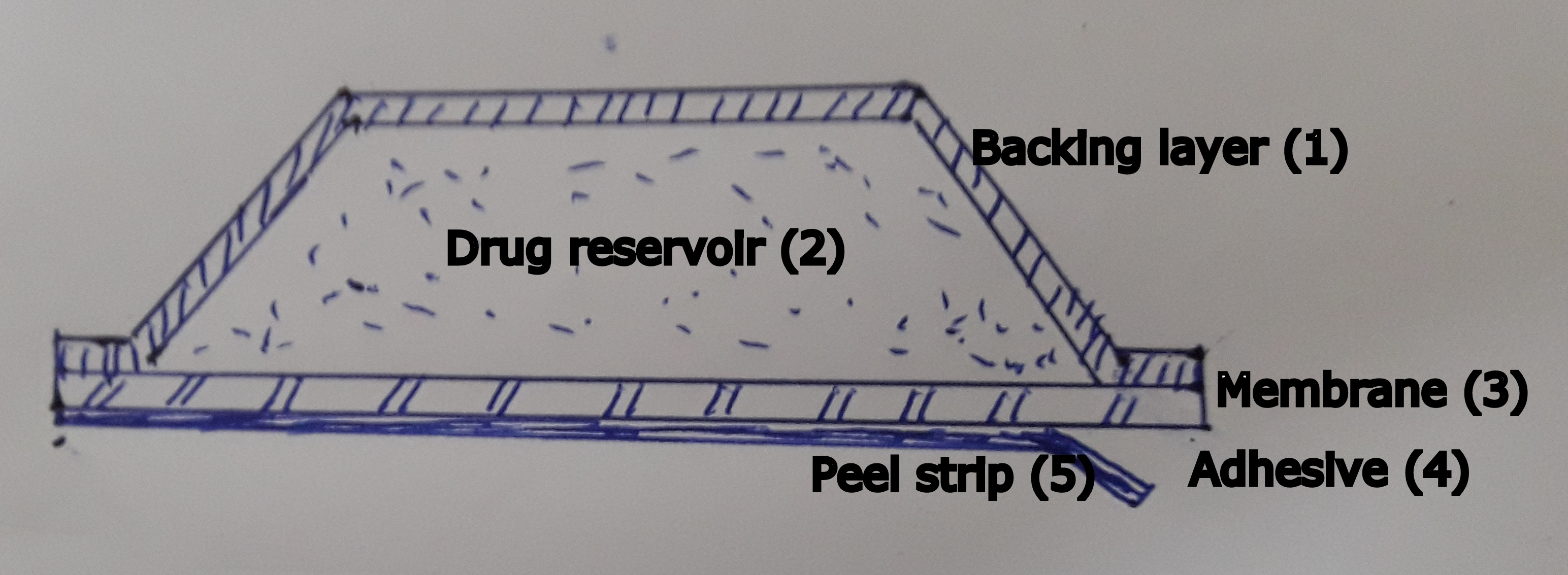 20170120_1827571.jpg#s-3088,1133