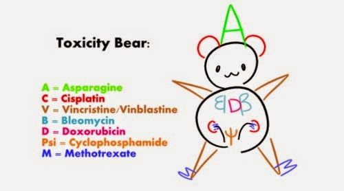 %252522indianpg-tricks-Pharmacology-02-March-2014-01-11-010%25255B1%25255D.jpg%252522.jpg#s-500,278