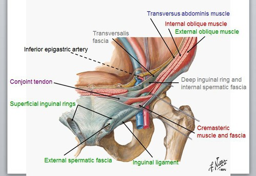 JZHHqCpFrz.fwxbe0vlTKQ.jpg#s-500,344