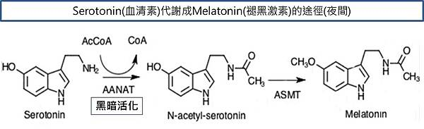1415600299-1929613428_n.jpg#s-600,183