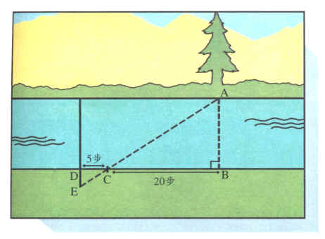 1340400832-3811316544.jpg#s-462,340