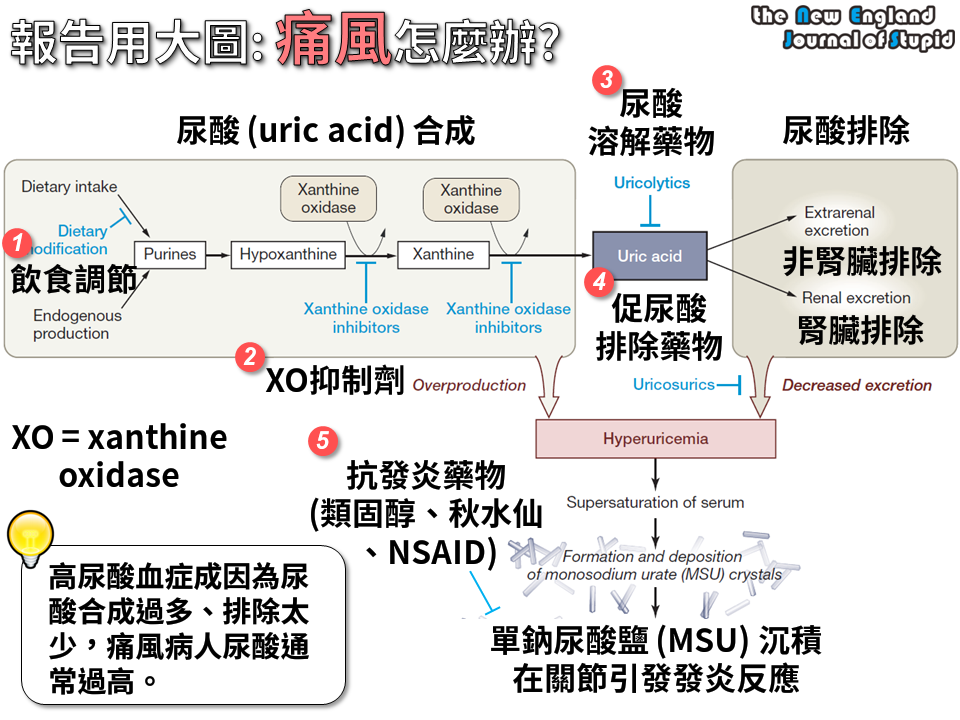 NEJS%2B20141119.png#s-960,720
