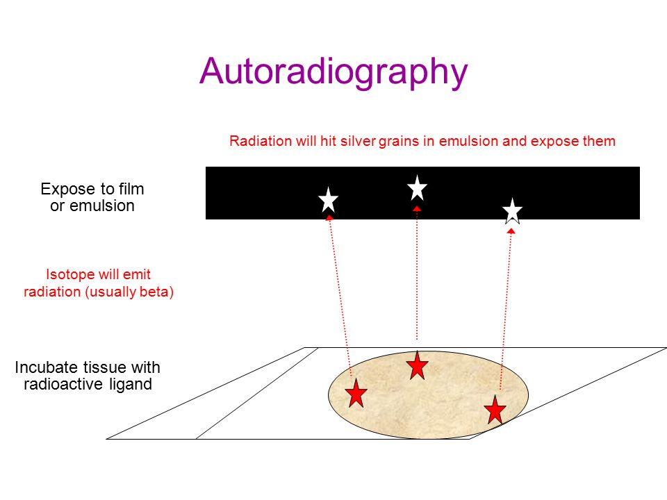 DalS_8JVMAA5cpL.jpg#s-960,720
