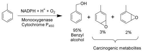 500px-Toluene_Metabolism_Scheme.png#s-500,181