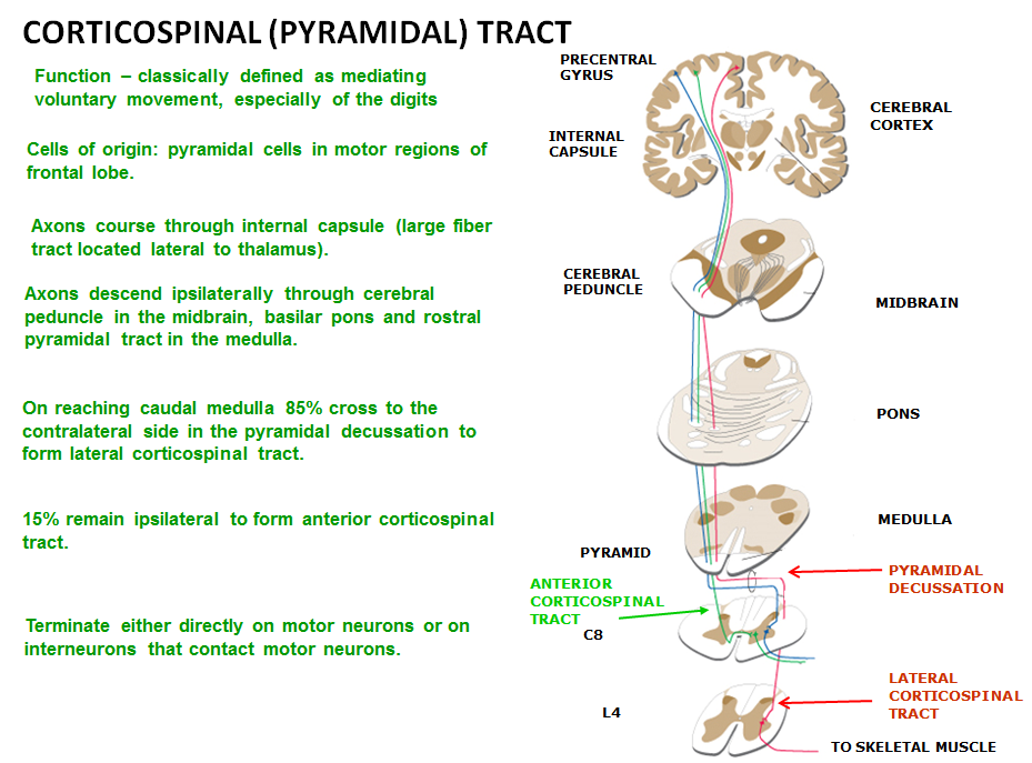 d1302ad84d15dd10c21403edf151dc92dff5fbb4#s-929,687