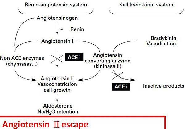 1363113993-1545764807_n.jpg#s-600,420