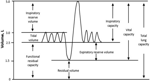 3-s2.0-B9780128146125000026-f02-02-9780128146125.jpg#s-493,268