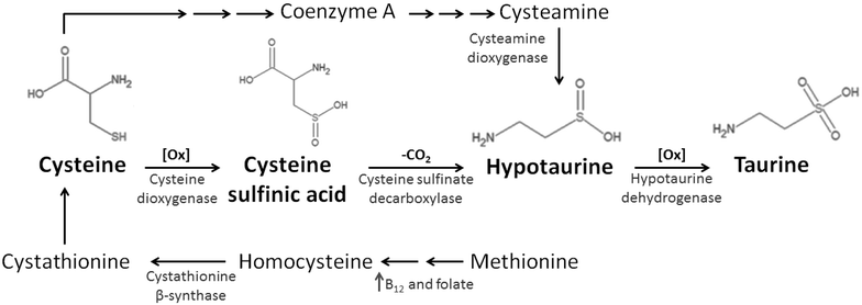 12967_2015_610_Fig1_HTML.gif#s-784,278