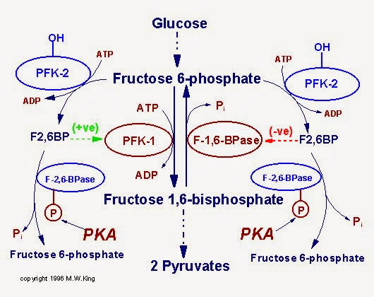 image020.jpg#s-530,420