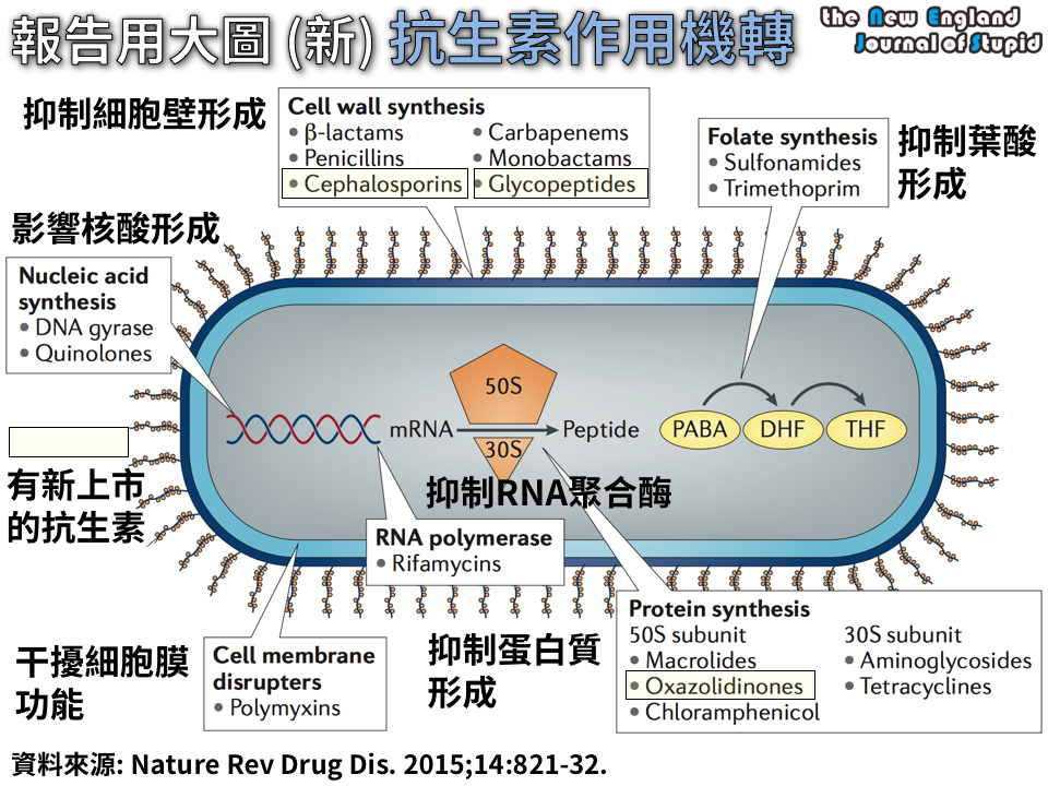 NEJS%2B20141119.png#s-960,720
