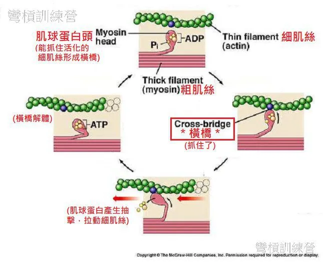 e59c96e59b9b-e8828ce7b5b2e6bb91e58b95e79086e8ab961.jpg?w=900