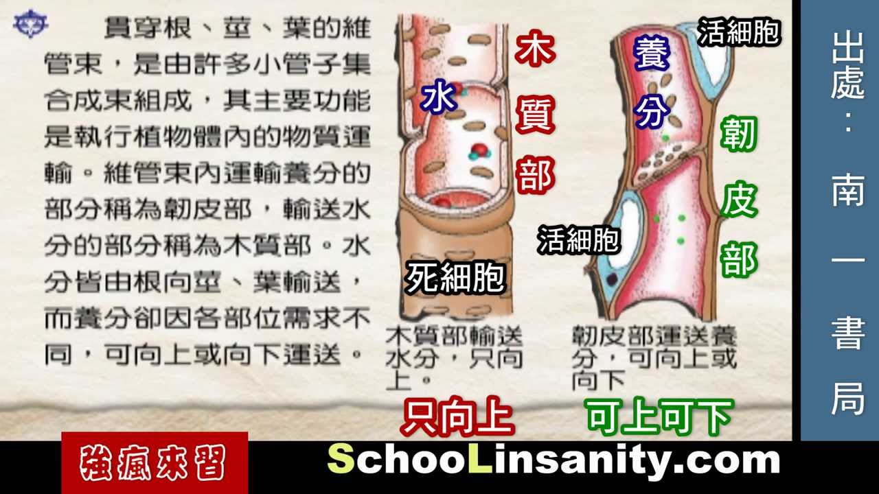 maxresdefault.jpg#s-1280,720