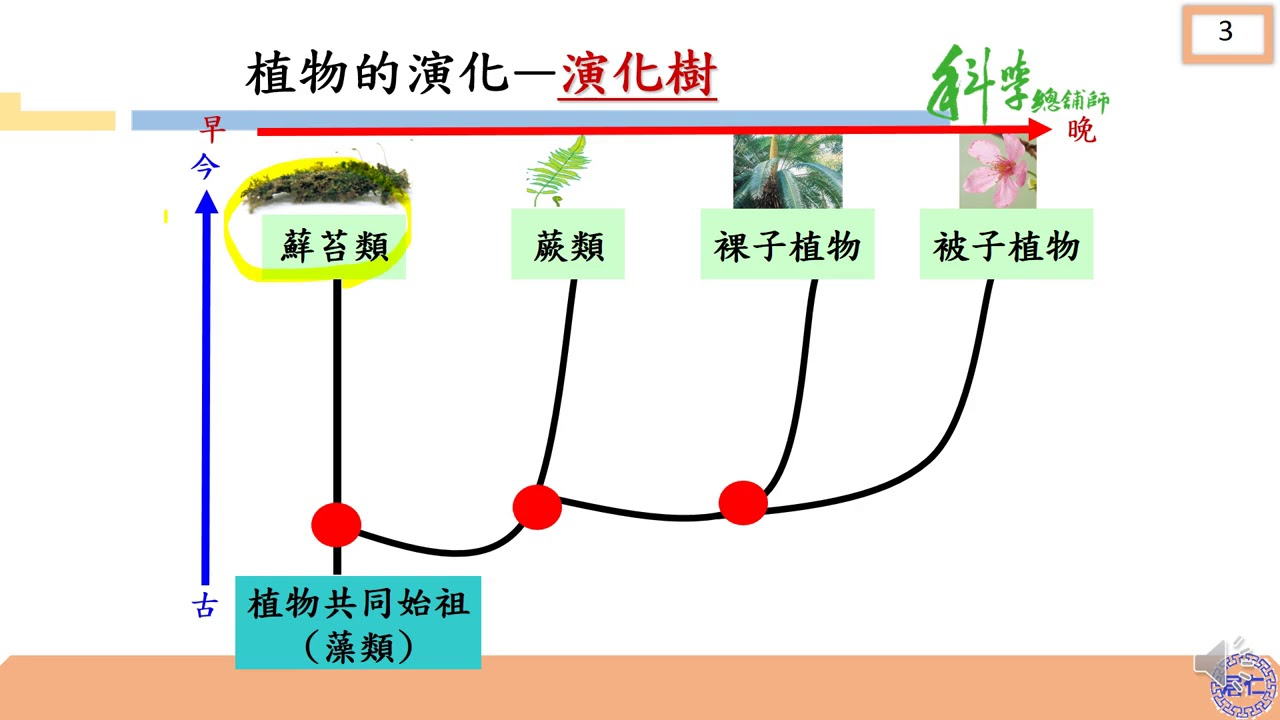 maxresdefault.jpg#s-1280,720