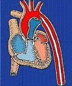 1344820058-2791461084_q.jpg#s-143,170