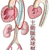 1344820055-2259293557_q.jpg#s-170,170