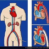 1344820056-737050829_q.jpg#s-170,170