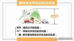 images?q=tbn:ANd9GcTYxeiCc8pGfm7MIVJRoTJ2S8Gtn08UNZirF7UwWvBCO5LmNp0ncQ&s#s-300,168