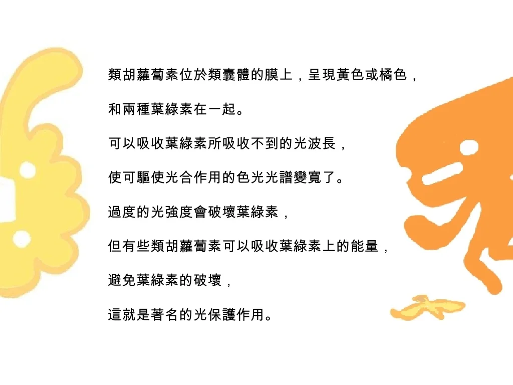 -24-1024.jpg?cb=1191518283#s-1024,768