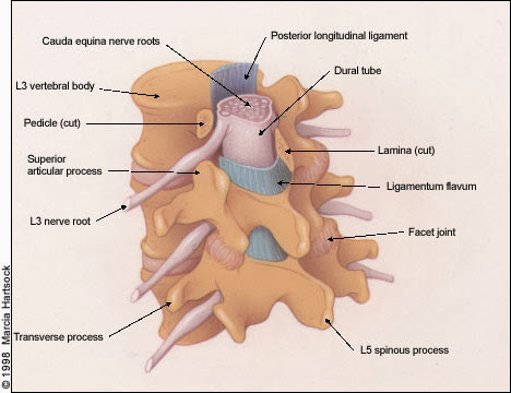 afp19980415p1825-f1.jpg#s-468,360
