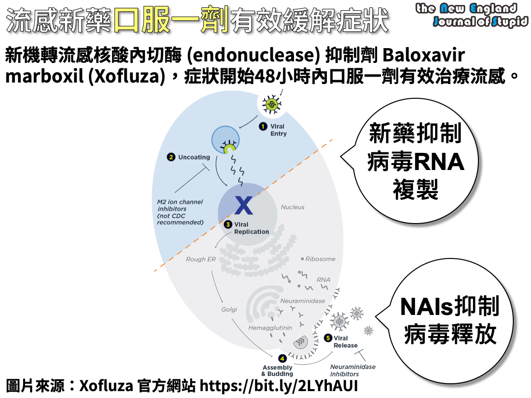 NEJS%2B20181206.png#s-1080,810