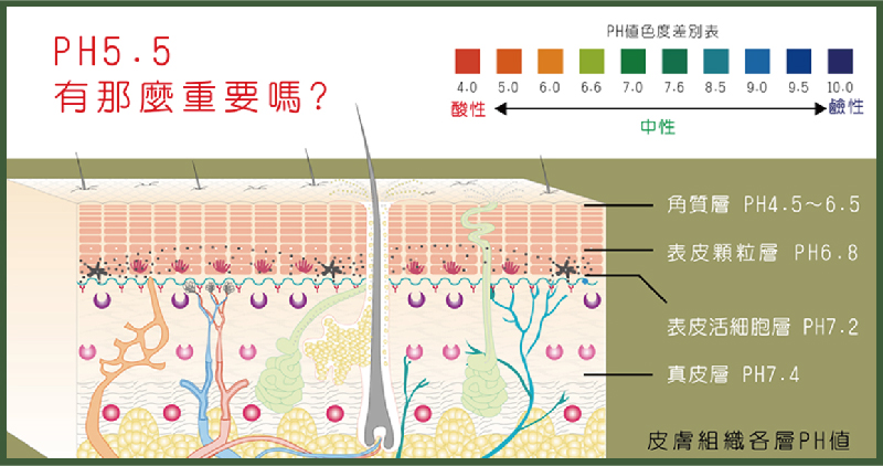 b7dd045dcb62f77309149464e2376df9_1.jpg#s-800,422