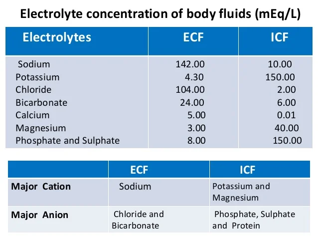 daily-fluid-balance-8-638.jpg?cb=1446977106#s-638,479